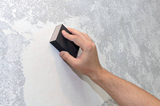Best Real Estate Mold Inspection  in Gang Mills, NY