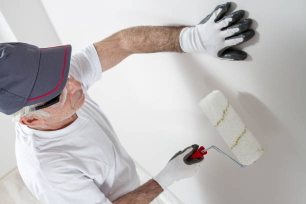 Best Water Damage & Mold Remediation  in Gang Mills, NY