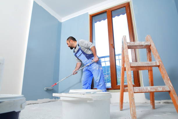 Gang Mills, NY Mold Removal Company