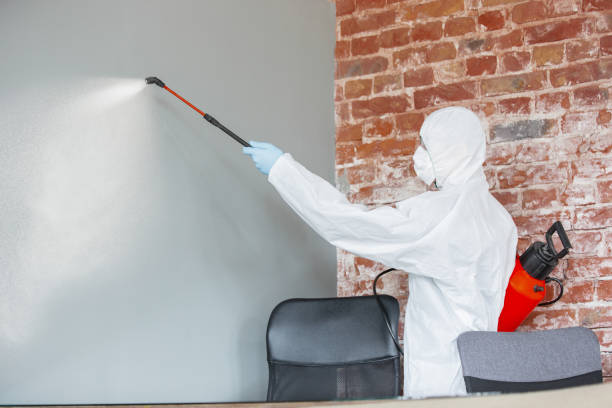 Best Air Quality Testing for Mold Spores  in Gang Mills, NY