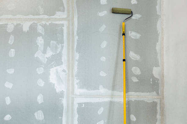Best Black Mold Removal  in Gang Mills, NY