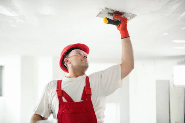 Best Mold Remediation for Healthcare Facilities  in Gang Mills, NY