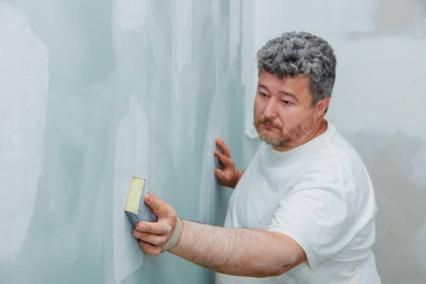 Gang Mills, NY Mold Removal Pros