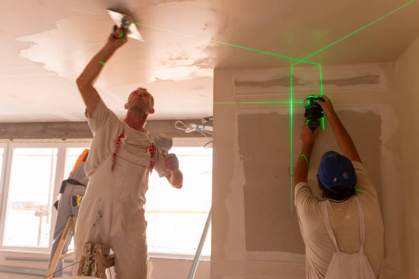 Best Basement Mold Removal  in Gang Mills, NY